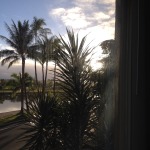 IMG_5502[1]